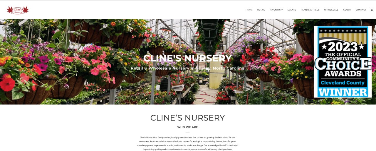 Previous home page