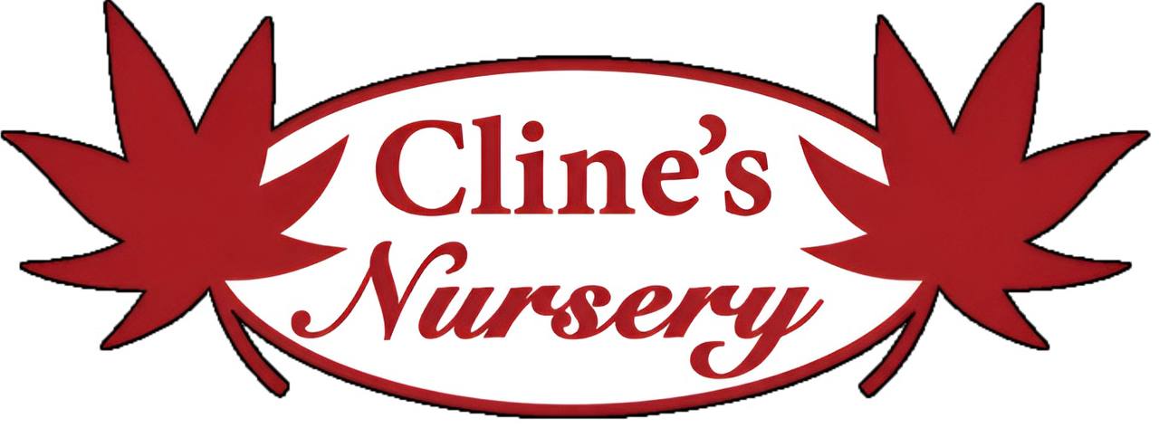 Cline's Nursery